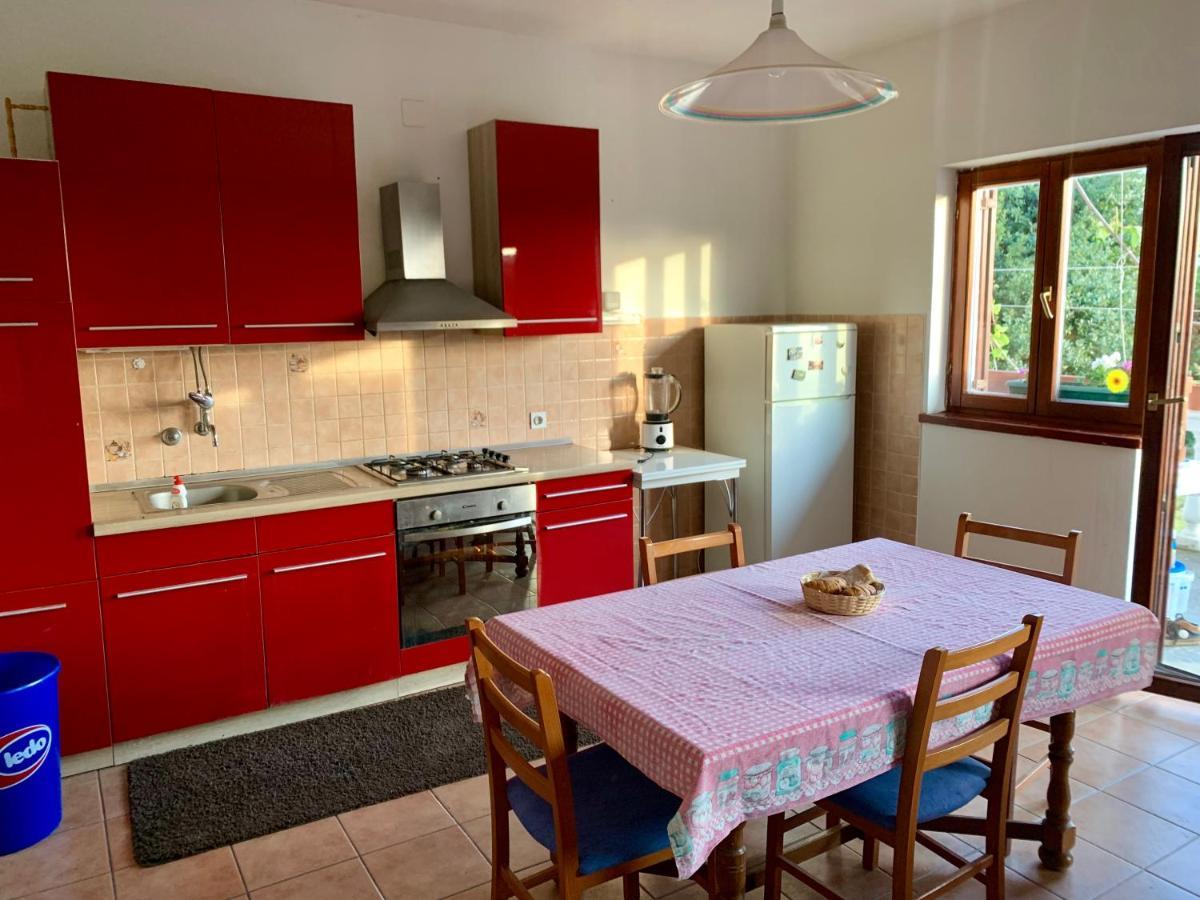 Apartments Bakic Kožino エクステリア 写真
